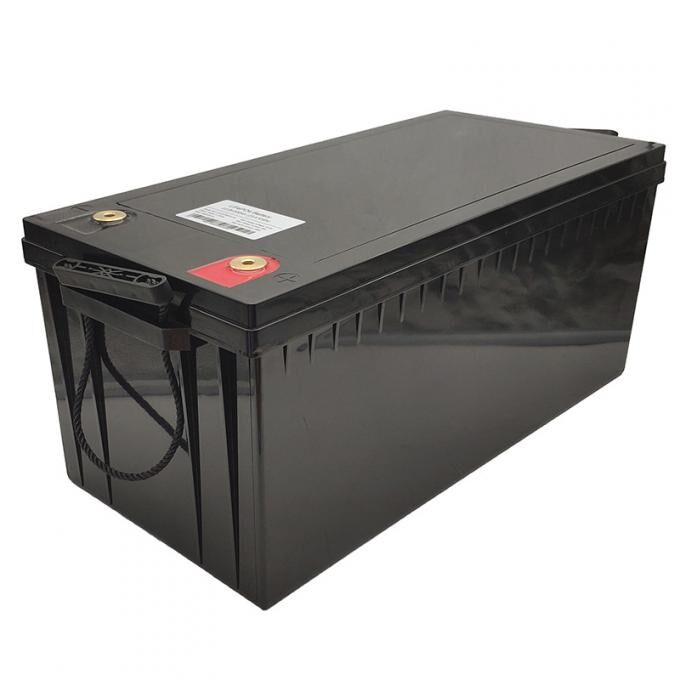 Pin lưu trữ Lithium 24V 48V 100AH 150AH 200AH với giám sát từ xa 0