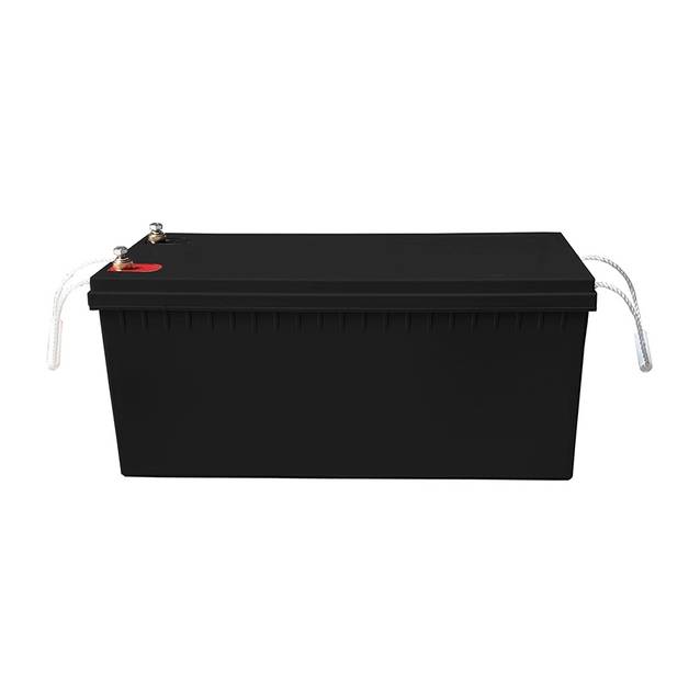Pin lưu trữ Lithium 24V 48V 100AH 150AH 200AH với giám sát từ xa Pin lưu trữ Lithium 24V 48V 100AH 150AH 200AH với giám sát từ xa